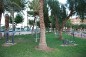 Station de musculation 10 exercices