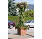 Jardinière carrée en polyèthylène