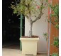 Jardinière carrée en polyèthylène