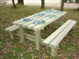 Table pique-nique rustique