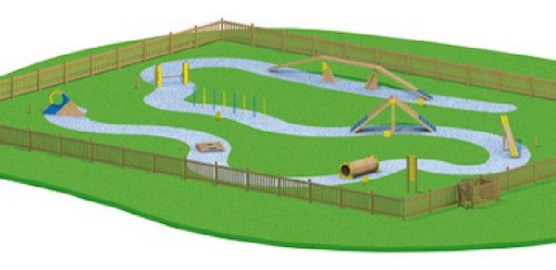 Slalom parcours d'agility