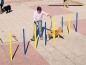 Slalom parcours d'agility