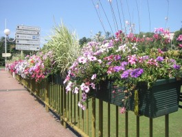Jardinière pour barrière de ville