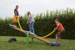 POUTRE À BASCULE EINSTEIN