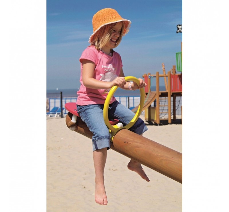 POUTRE À BASCULE NEWTON POUR DEUX PERSONNES