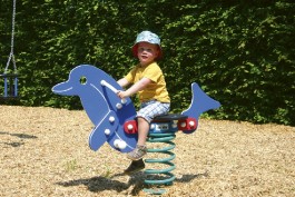 DAUPHIN JEU SUR RESSORTS