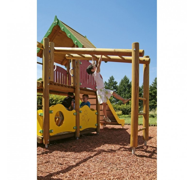 JEU ÉCHELLE DE SINGE