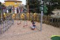 PARCOURS D'AGILITE PALMIERS N°4