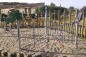 PARCOURS D'AGILITE PALMIERS N°4