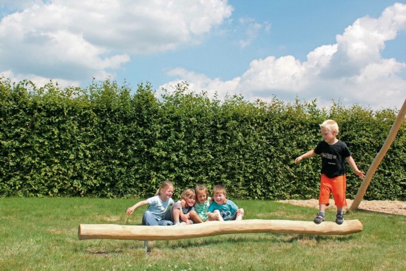 TRIPLES POUTRES EN BOIS DE ROBINIER