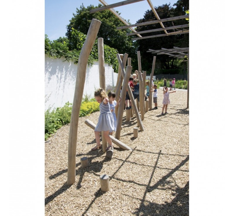 Parcours dans la jungle en bois de robinier pour les enfants