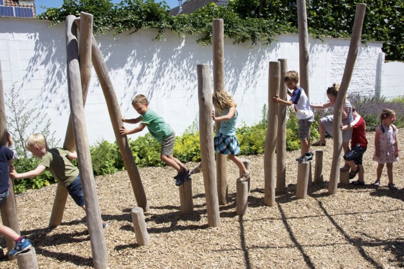 Parcours dans la jungle en bois de robinier pour les enfants