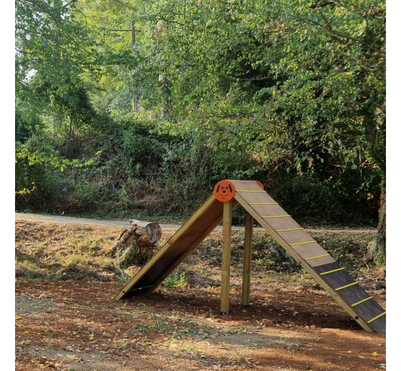 Cani-Parcours en bois