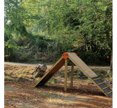 Cani-Parcours en bois