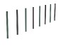Zigzag Canin