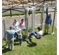 Parc de Street Workout Premium - Robuste et Polyvalent
