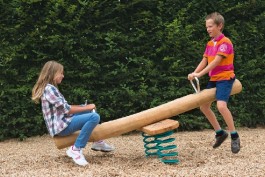 JEU SUR RESSORTS POUTRE À BASCULE