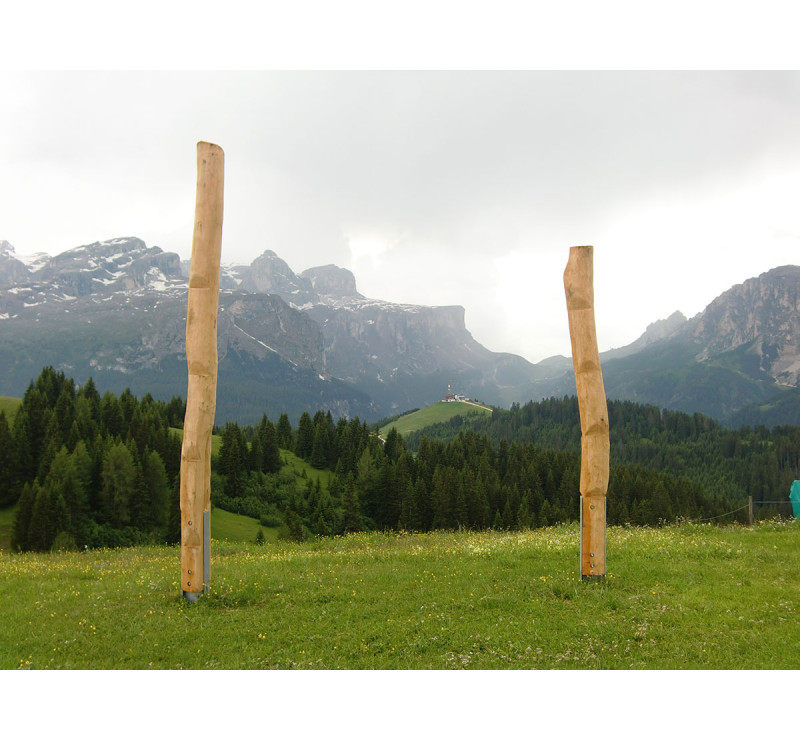 Poteau à grimper en bois de robinier