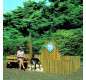 Aire de déjection canine, Parc canin