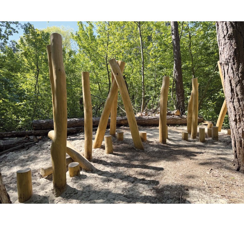 Parcours dans la jungle en bois de robinier pour les enfants