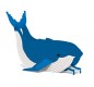 equipement-loisirs-aquatiques
