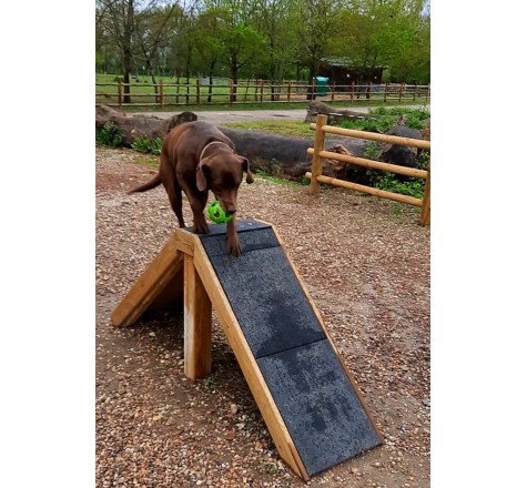 PALISSADE PARCOURS CANIN