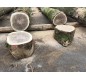 Parcours en bois pour aire de jeux