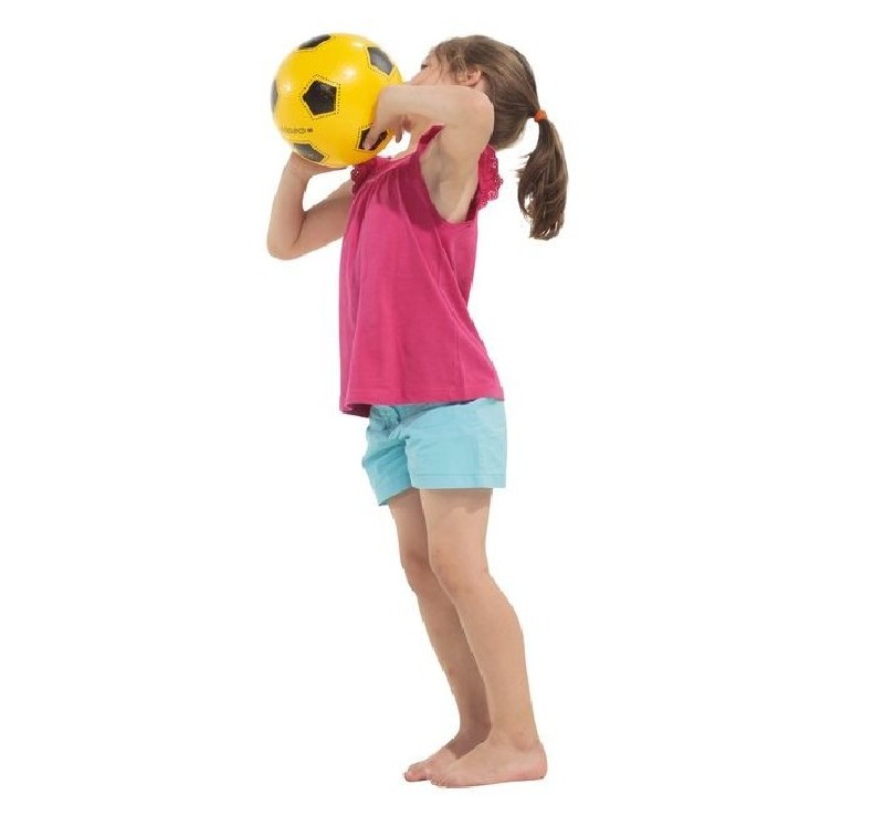 Panier de ballons pour école