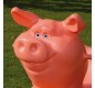 Cochon jeu sur ressort géant