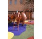 Structure de jeux "cheval et toboggan avec mât de pompier"