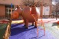 Structure de jeux "cheval et toboggan avec mât de pompier"