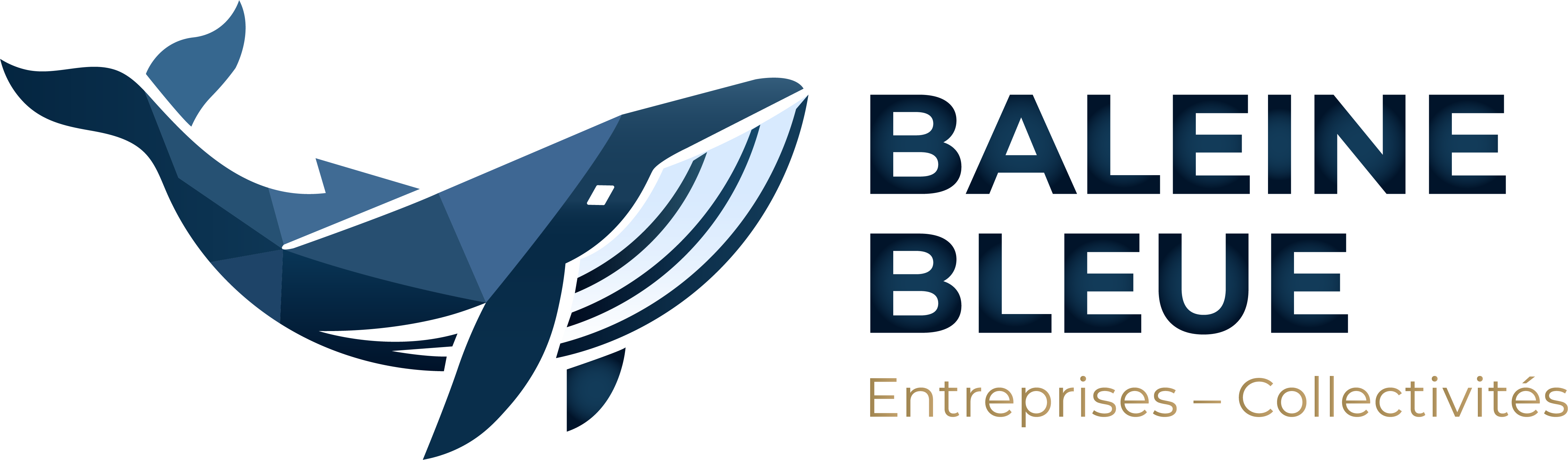 Baleine Bleue - Mobilier urbain et aires de jeux pour collectivités